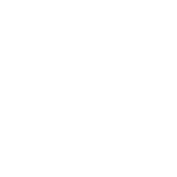 trusted partner icon