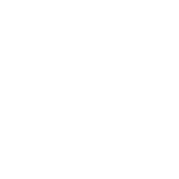 check icon